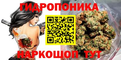 амф Славянск-на-Кубани