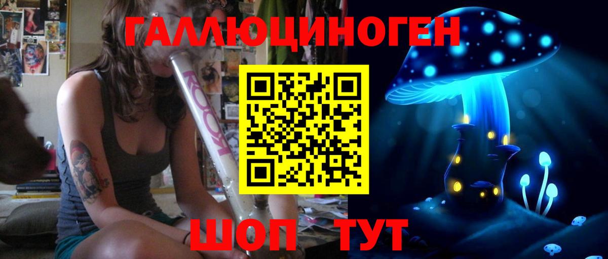 Псилоцибиновые грибы Psilocybine cubensis  Вход с VPN  Новоуральск 